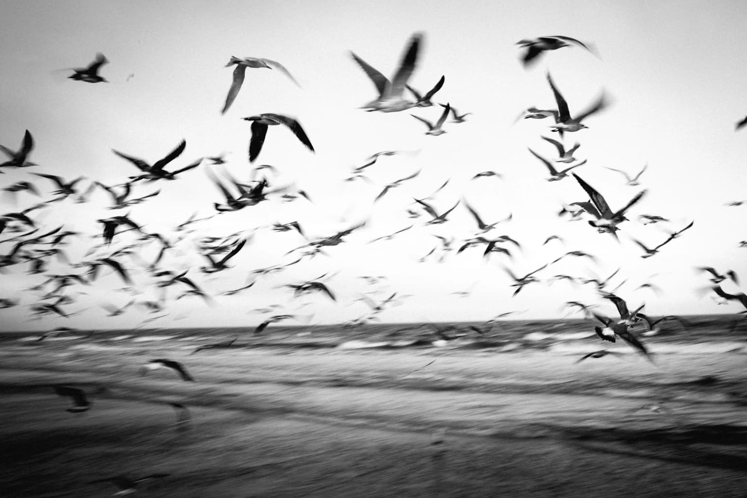 Thoughts on building complex but safe data migration scripts
